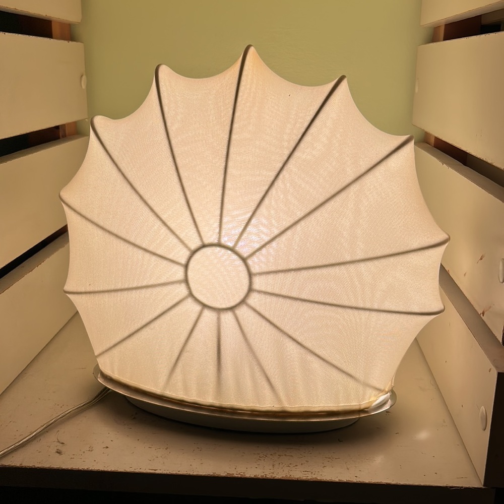 Beautiful shell shape lighting